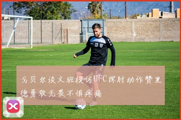 戈贝尔谈文班模仿UFC挥肘动作赞里德勇敢无畏不惧疼痛