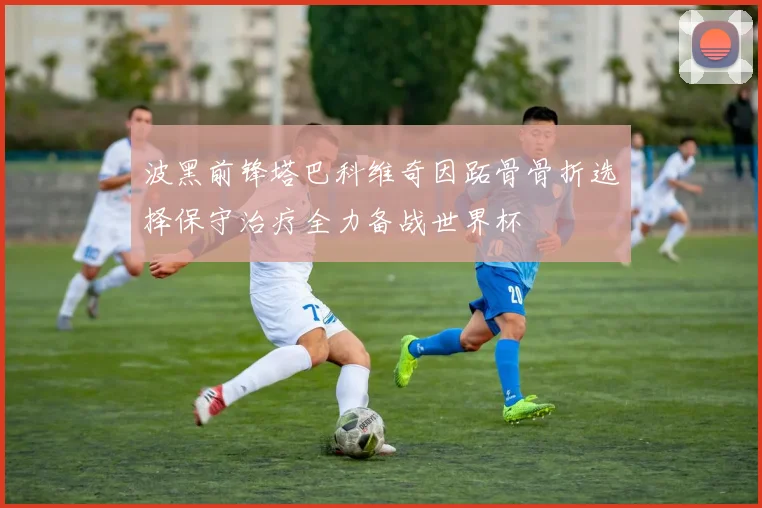 波黑前锋塔巴科维奇因跖骨骨折选择保守治疗全力备战世界杯